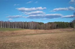 Tvarkyti miško išvykęs vyras rastas miręs