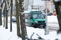 Nuo pirmadienio autobusai darbo dienomis Alytuje važiuos dažniau, vėl kursuos nr. 3A ir 5