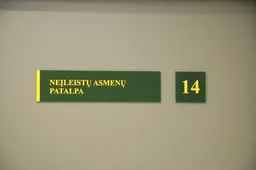 Lietuvos pasienyje sulaikė Vokietijoje dėl nusikaltimo ieškomą dvigubos pilietybės moterį