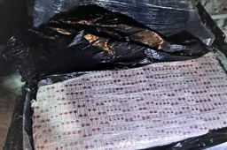 Nutraukė plaustų „reisą“ Nemunu