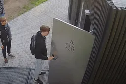 Ieškojo dėl viešųjų tualetų suniokojimo