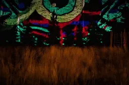 Policija turi darbo: narkotinių medžiagų gausa prie Dzūkijoje vykstančio festivalio teritorijos