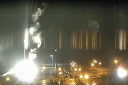 Po Europoje didžiausios atominės jėgainės Ukrainoje atakos žaibiškai susidomėta vienu vaistu