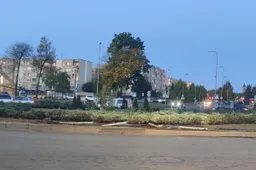 Ant žiedo užvažiavusi girta vairuotoja „nukirto“ kelio ženklus ir atitvarus