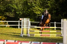 Butrimonyse – šventė, į seniūniją grįžta žirgų varžybos