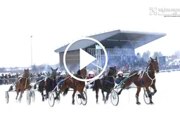 Lazdijuose po penkerių metų pertraukos vėl vyko žirgų lenktynės