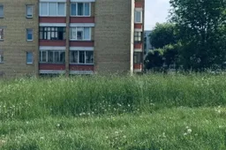 Dėl Alytaus mieste nenušienautos žolės – gyventojų skundai, „Marijampolės švara“ tikina, kad daro viską, ką gali