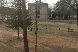 Ieškomas Alytuje kalėjęs, iš darbo pabėgęs nuteistasis