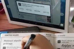 Savivaldybės privalės sudaryti sąlygas per nuotolį norintiems mokytis mokyklose