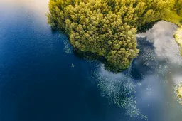 Alytuje – Žemės tvarkymo ir geodezijos departamento  padalinys