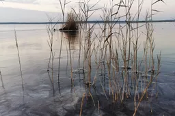 Naujos technologijos leis sužinoti ir apie ledo storį Dzūkijoje