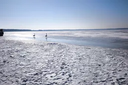Sinoptikai: dieną be žymesnių kritulių, aukščiausia temperatūra sieks 7 laipsnius
