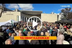 Alytaus Kaziuko mugė viliojo skanėstais, gėrybėmis ir muzikine programa VIDEO. FOTO