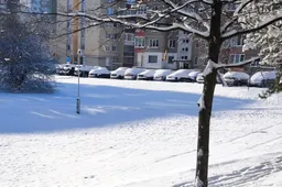 Sinoptikai: dieną vietomis pasnigs, rytiniuose rajonuose šals iki 9 laipsnių