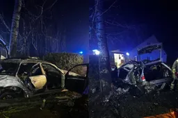 Avarija Alytaus rajone: BMW rėžėsi į stulpą ir medį, žuvo du vyrai