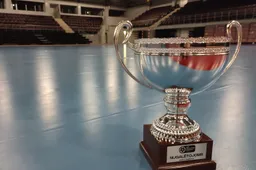 Alytuje  rankinio klubai kovos dėl svarbiausių trofėjų – LRF taurės