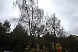 Lietuvoje lietus, vėliau laukiama plikledžio rūko ir 12 laipsnių šilumos