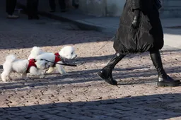 Sinoptikai:  pirmadienio dieną žymesnių kritulių nenumatoma