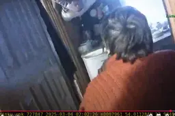 Druskininkų pareigūnai iš liepsnų ištraukė neblaivų vyrą VIDEO