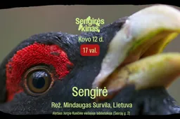 Alytaus Jurgio Kunčino viešojoje bibliotekoje filmo – „Sengirė“ peržiūra
