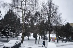 Sinoptikai: dieną Lietuvoje daug kur sniegas, temperatūra sieks nuo 4 laipsnių šalčio iki 1 šilumos