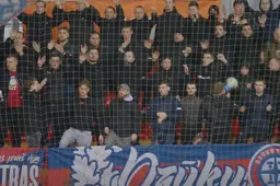 DFK „Dainava“ ir „Žalgirio“ ekipos užsidirbo nuobaudas