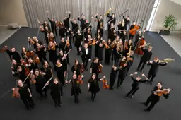 Dainavos šalies muzikos festivalis grįžta į Alytų: keturios dienos išskirtinių muzikinių patirčių