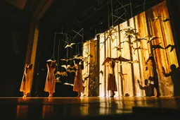 Muziejų naktis Alytuje - gegužės 17 dieną PROGRAMA