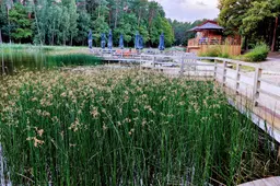 Sinoptikė: savaitei įpusėjus grįš vasariški orai
