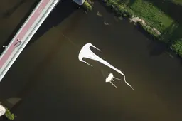 ŽALČIO FENOMENAS: kodėl niekas nesakė, kad bus taip gražu?!