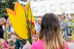 Lietuvoje prasideda naujieji mokslo metai