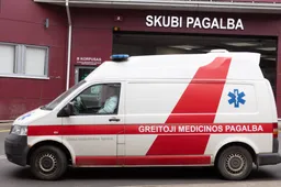 Druskininkų savivaldybėje šuo apkandžiojo 6 metų vaiką