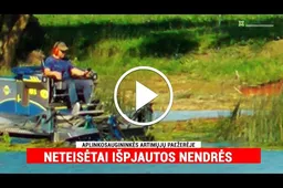 Aplinkosaugininkės artimųjų paežerėje – neteisėtai išpjautos nendrės, direkcijoje pradėtas vidinis patikrinimas