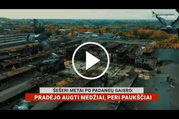 Šešeri metai nuo didžiojo Alytaus gaisro: 10 dienų įtampos ir išteisintų gaisrininkų istorija