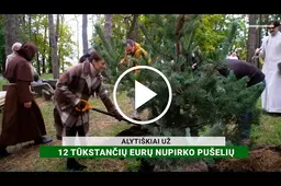 Alytiškiai už 12 tūkst. eurų nupirko pušelių ir jas pasodino A. Matučio parke