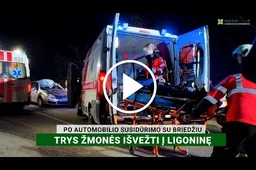 Antradienio vakarą – avarija netoli Užubalių kaimo: automobilis susidūrė su briedžiu
