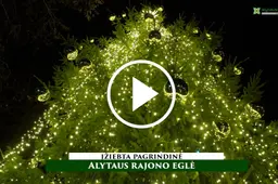 Sušvito pagrindinė Alytaus rajono žaliaskarė VIDEO
