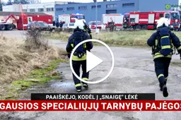 Paaiškėjo, kodėl į gamyklą „Snaigė“ skubėjo gausios pajėgos