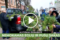 Kalėdų tradicija tęsiasi: miškininkai nemokamai dalino eglių ir pušų šakas