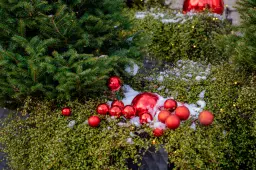 Raudona – šių metų Alytaus Kalėdų spalva!