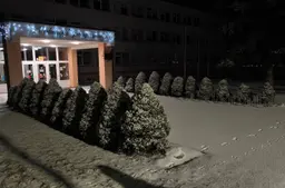 Sinoptikė: Naujuosius metus pasitiksime su sniegu