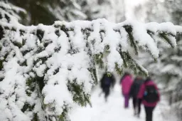 Savaitgalį kviečiame į Metelių regioninį parką – žiemos pasaka tęsiasi