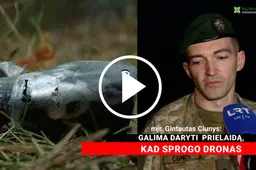Kariuomenė daro prielaidą, kad Varėnos rajone nukritęs objektas – dronas, įtariama iš Baltarusijos (KOMENTARAI)