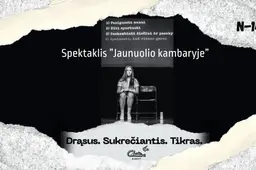 Spektaklis “Jaunuolio kambaryje” - Alytuje balandžio 11 d.