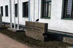 Į smurtą artimoje aplinkoje reagavę pareigūnai įtariamojo namuose Alytuje rado neteisėtą ginklą