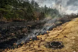 Alytaus ugniagesiai įspėja : deganti žolė – pavojus gamtai, turtui ir žmonių gyvybėms