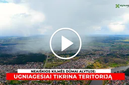 Neaiškios kilmės dūmai Alytuje: gyventojai skundėsi degėsių kvapu, ugniagesiai tikrino teritoriją ATNAUJINTA