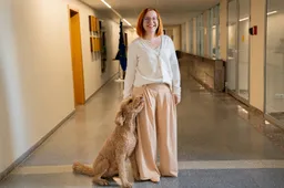 Keturios letenos ir laimė