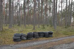Sezoninis padangų keitimas – kodėl svarbu atsakingai tvarkyti naudotas padangas?