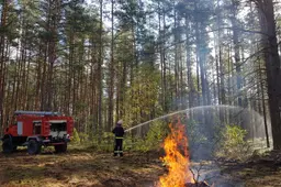 VMU įspėja: savaitės pradžioje – didelis miškų gaisrų pavojus